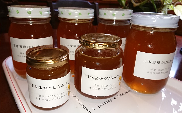 その他日本ミツバチの蜂蜜大量4kg超‼️食品